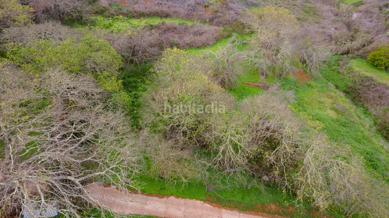 Foto 8d2e58f5-b72b-4e3a-b3c0-93727e23a06b. Finca rústica a la esperanza 17 a La Esperanza - Llano del Moro Rosario (El)