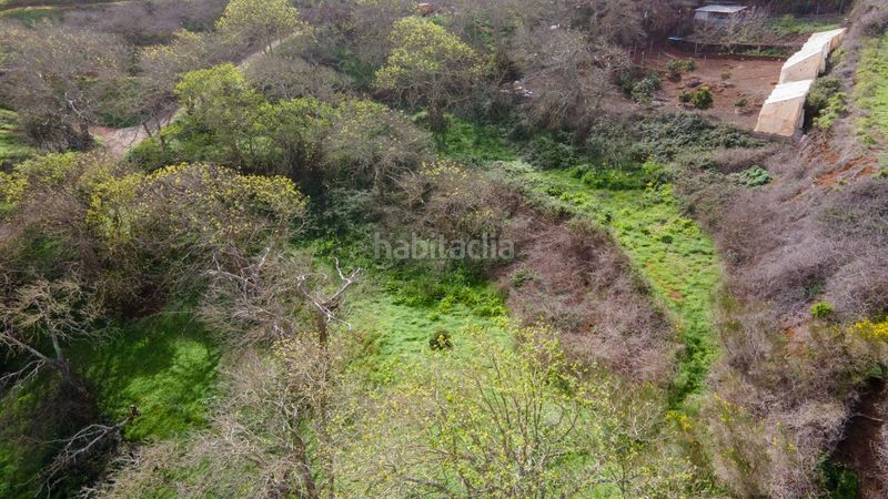 Foto 9c5d9de1-cf1a-4f61-922c-9aa659f5d0d5. Finca rústica a la esperanza 17 a La Esperanza - Llano del Moro Rosario (El)