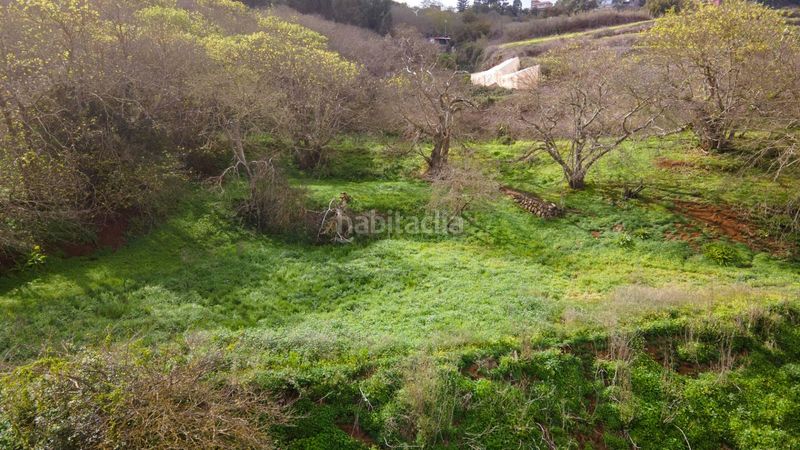 Foto 9f7f4325-75ad-4cdf-a753-be87fa7b7312. Finca rústica a la esperanza 17 a La Esperanza - Llano del Moro Rosario (El)