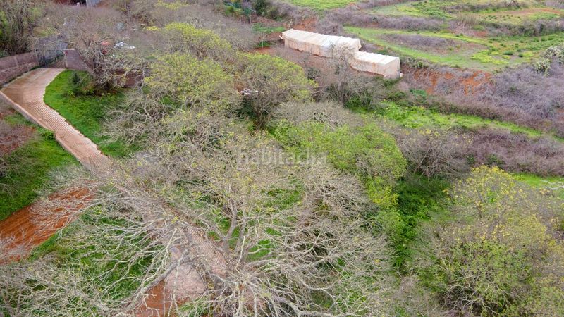 Foto a137ade5-8219-4377-a86d-fb2219d85f2f. Finca rústica a la esperanza 17 a La Esperanza - Llano del Moro Rosario (El)