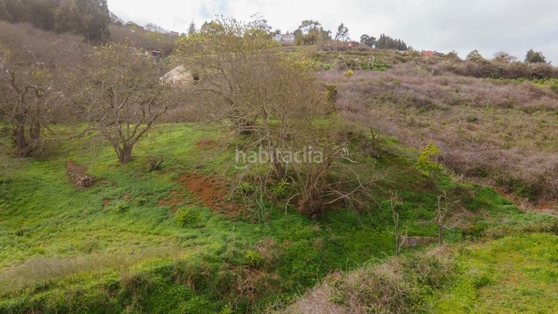 Foto d56fee84-7dc6-4eff-a057-9db8d83e1d95. Finca rústica a la esperanza 17 a La Esperanza - Llano del Moro Rosario (El)