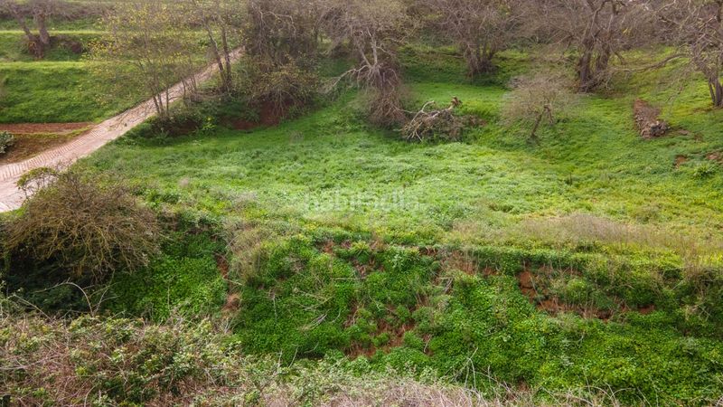 Foto ea7cc3ad-8ebd-4d79-862a-3b2879e7184f. Finca rústica a la esperanza 17 a La Esperanza - Llano del Moro Rosario (El)