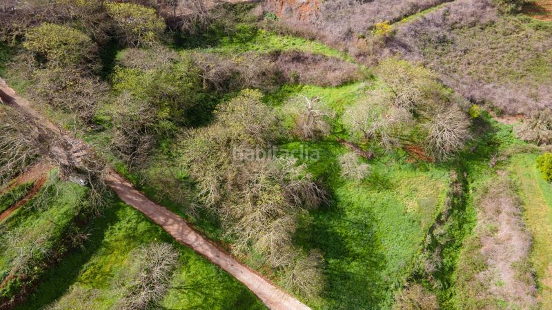 Foto f9034fd1-5fe8-48d3-b3d5-c38b4206330b. Finca rústica a la esperanza 17 a La Esperanza - Llano del Moro Rosario (El)
