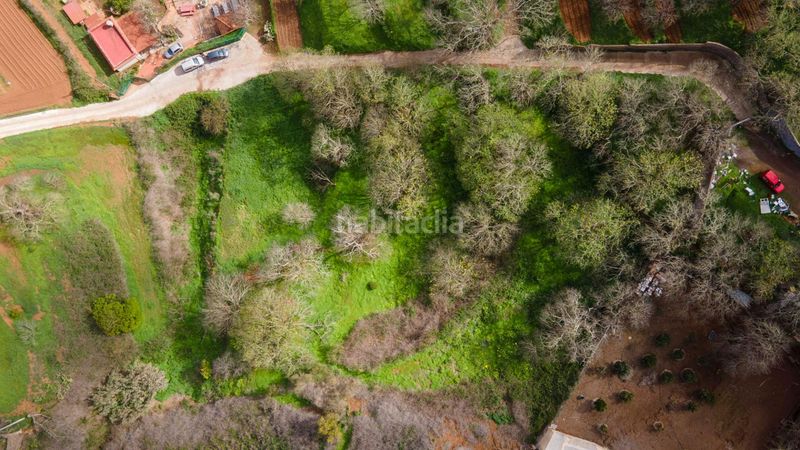Foto ff6eed6c-8370-40fe-8972-ebbfbcd98c74. Finca rústica a la esperanza 17 a La Esperanza - Llano del Moro Rosario (El)