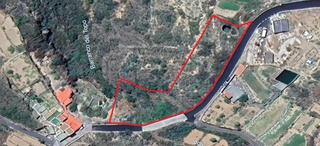 Finca rstica en Fasnia. Fantstico terreno rstico en fasnia