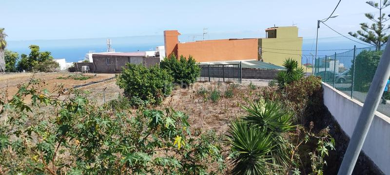 Foto 28dc57e1-8d36-4857-8f6a-a16f2ee5aa57. Wohngrundstück in La Vega - El Amparo - Cueva del Viento Icod de los Vinos