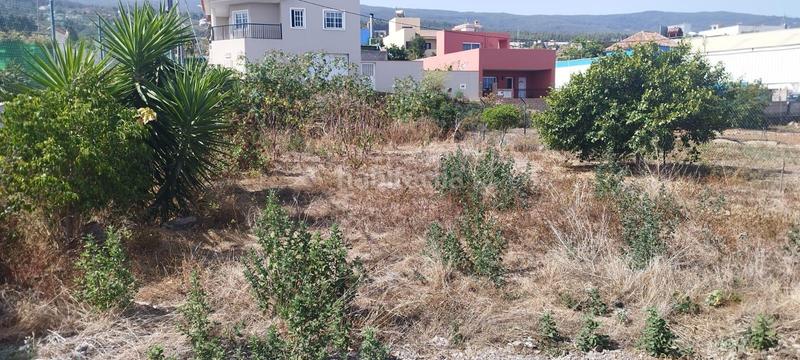 Foto 48b44437-18be-4bd2-afe4-405e9abf0a04. Wohngrundstück in La Vega - El Amparo - Cueva del Viento Icod de los Vinos