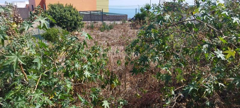 Foto 8320a1d8-3a08-4fb9-8661-e89cf0752e8e. Wohngrundstück in La Vega - El Amparo - Cueva del Viento Icod de los Vinos