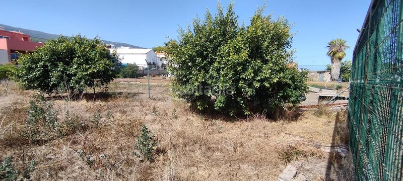 Foto d4e48c1e-ba4e-4f11-8599-11ebcb45fe33. Wohngrundstück in La Vega - El Amparo - Cueva del Viento Icod de los Vinos
