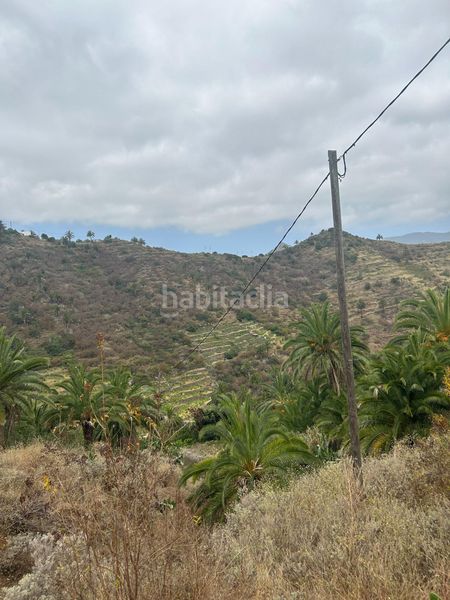 Foto 765a4b2b-f280-465c-bd7a-7e87a4a4eb24. Finca rústica a Vallehermoso