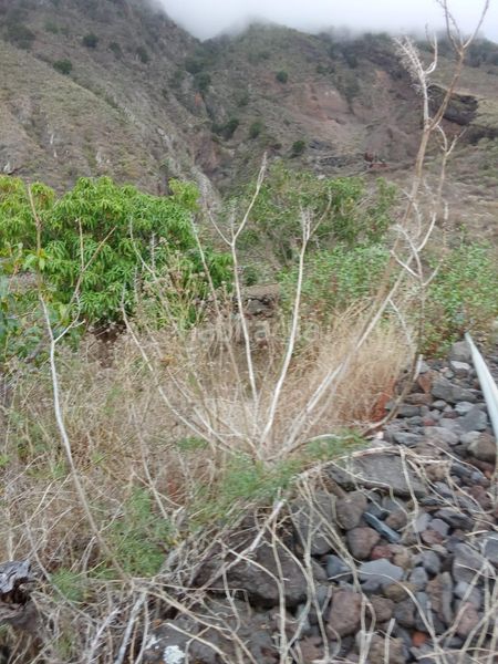 Foto 2a05a6c7-a940-4631-a2f8-7d2ff0412977. Finca rústica a Frontera
