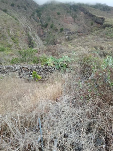 Foto 354e8405-511e-4dfb-a0e2-7ff83c72be71. Finca rústica a Frontera