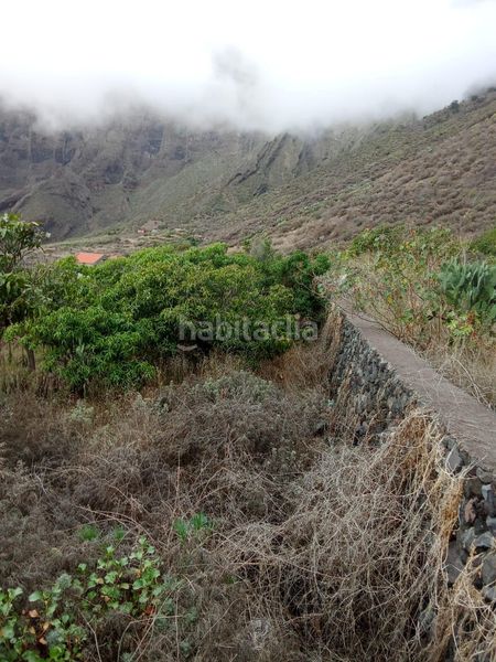 Foto 4d1ef3ad-c247-4e94-a862-4c2735e0106e. Finca rústica a Frontera