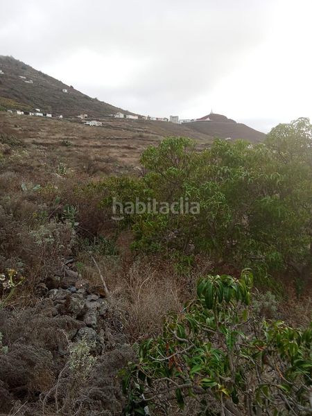 Foto 7d537141-9973-40d7-928d-cfb9c83b6688. Finca rústica a Frontera