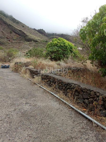 Foto 9bc9841e-4b47-4115-a639-76b219f5c13d. Finca rústica a Frontera