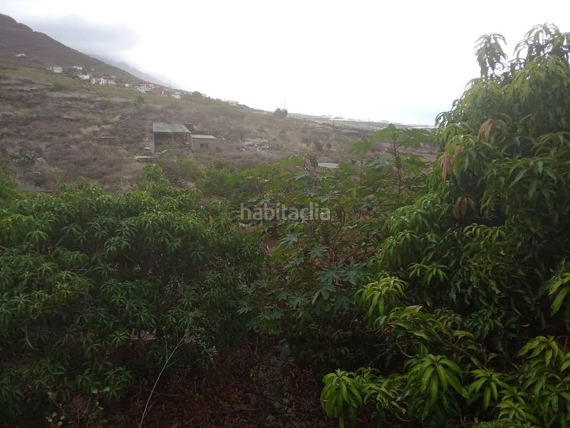Foto f19f6c68-30ff-4042-a0b3-8bd56660b3d3. Finca rústica a Frontera