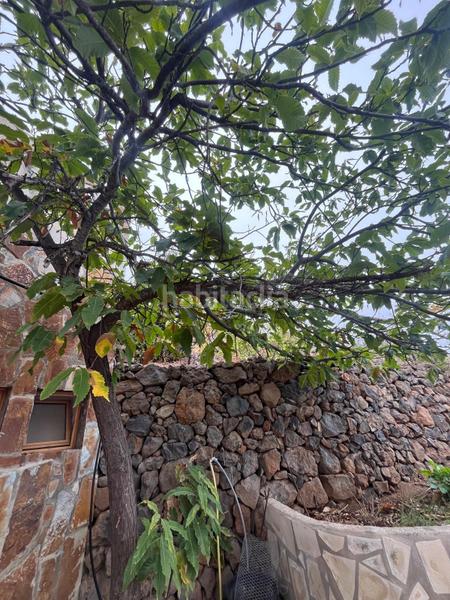 Foto 07688c94-09ab-4595-bbd1-36912ab66412. Finca rústica a Centro Güímar