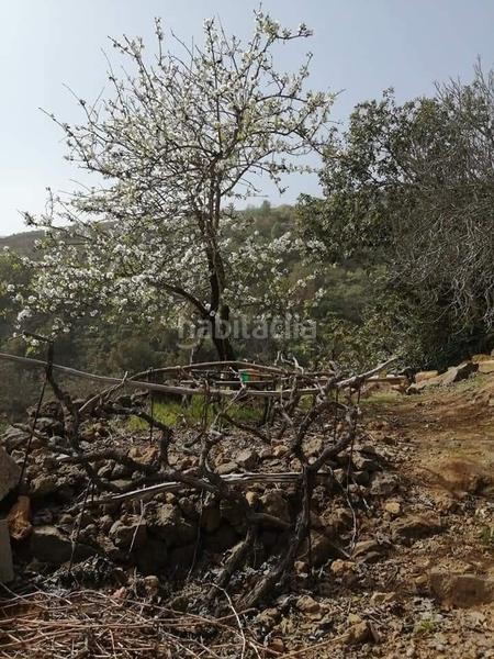 Foto 13386e12-6ffb-498d-9043-92932eb753aa. Finca rústica a Centro Güímar