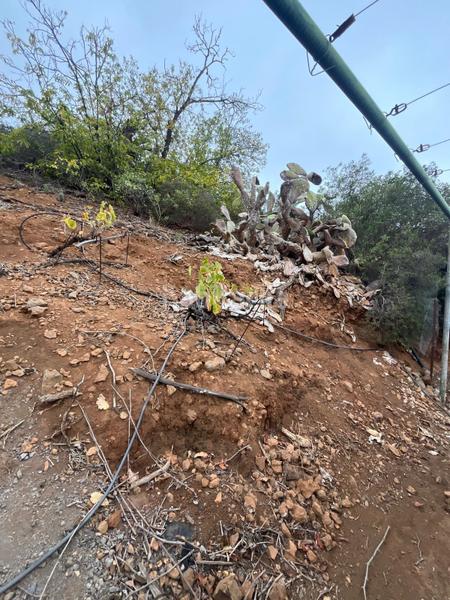 Foto 222e7fc6-1774-4e5b-a756-f87826ab66df. Finca rústica a Centro Güímar