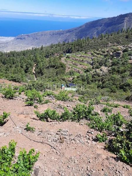 Foto 371a3275-74d5-4d57-ba43-db253773a35b. Finca rústica a Centro Güímar