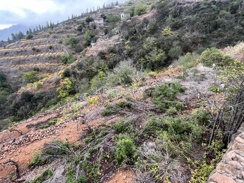 Foto 38805f4e-3f5b-4826-930a-f039d492f9d6. Finca rústica a Centro Güímar