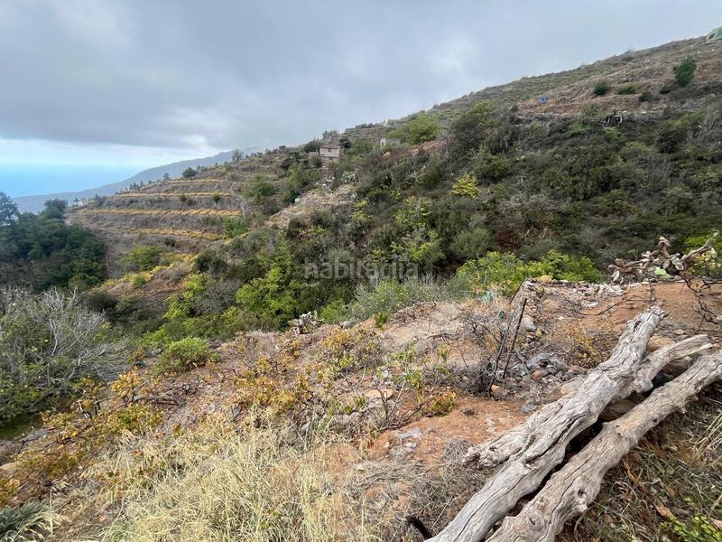 Foto 3ba91f54-20e8-40f5-991f-84162ca21152. Finca rústica a Centro Güímar