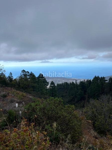 Foto 415bc8c6-5516-447c-9e3b-7ab792f12922. Finca rústica a Centro Güímar