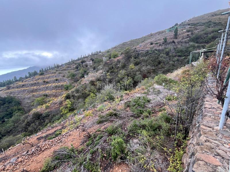 Foto 46cf53b4-babe-4b65-81b5-72afd08fed60. Finca rústica a Centro Güímar