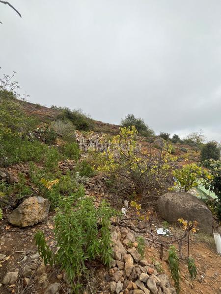 Foto 47b0c1d4-d648-4716-af66-c14dbc3975fe. Finca rústica a Centro Güímar