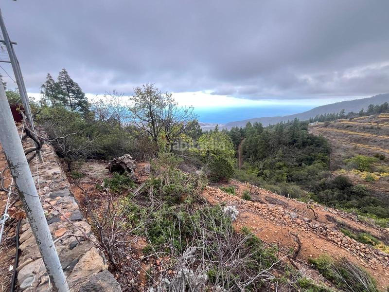 Foto 4978efc5-4bbb-4b77-b192-4d91410037d5. Finca rústica a Centro Güímar