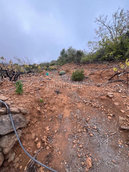 Foto 926befcd-e606-420f-a22c-32c00293687f. Finca rústica a Centro Güímar