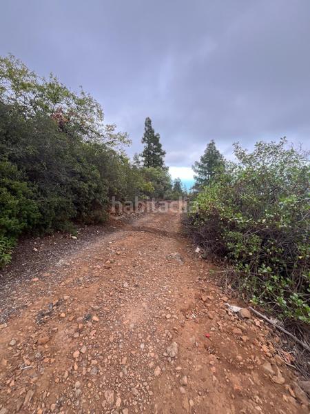 Foto 93d016c0-049d-4bec-acb7-e75017ea4fa8. Finca rústica a Centro Güímar