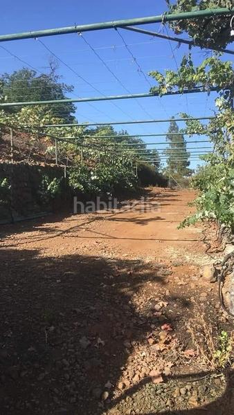 Foto a8da51f7-ee9f-419c-ad48-e60c227b79a6. Finca rústica a Centro Güímar