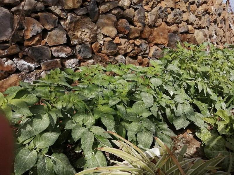 Foto aa5ee90b-deba-4d2d-9dd3-3f7220dff9f2. Finca rústica a Centro Güímar