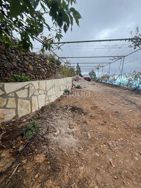 Foto b1d77497-13aa-4d97-9674-e1bdf9c04681. Finca rústica a Centro Güímar