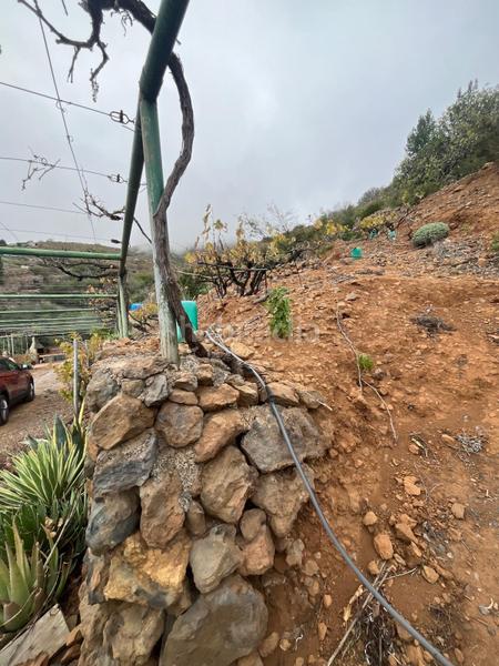 Foto c178b552-1177-46d8-9c75-bfa9040c5c37. Finca rústica a Centro Güímar