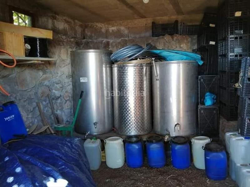 Foto c3c53724-a85f-402e-bed1-33d797f216a3. Finca rústica a Centro Güímar