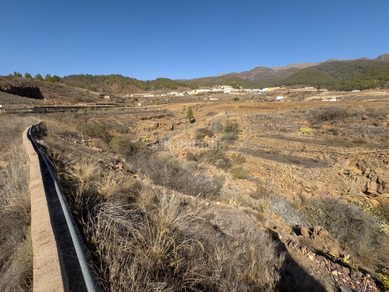 Foto 68f38217-2721-4025-9eb5-da53d7e2c1b3. Finca rústica a Vilaflor