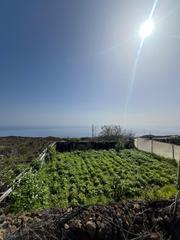 Terreny residencial  Polígono polígono 42 paraje 538 texera. Venta de finca rústica con frutales