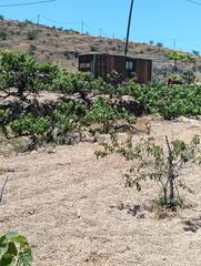 Finca rústica a Calle fasnia 0. Terreno rústico en la zarza, fasnia con facilidad de pago