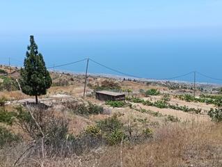 Finca rústica a Calle fasnia 0. Venta de terreno rústico en la zarza, fasnia