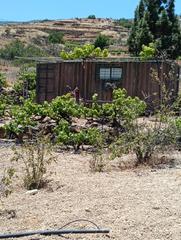 Finca rústica en Calle fasnia 0. Venta de terreno rústico en la zarza, fasnia