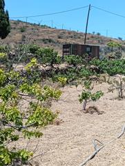 Rural plot in Calle fasnia 0. Venta de terreno rústico en la zarza, fasnia