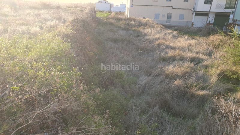 Foto 326dc6bb-c00a-4d08-a129-df3c6ad17398. Terreny residencial a Vilaflor