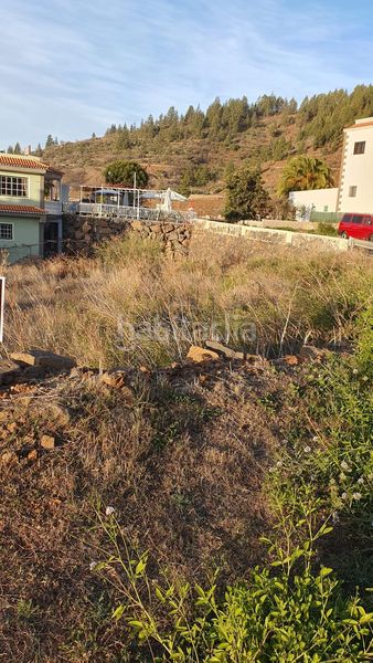 Foto 377a7596-146a-42ba-bdcb-bd1fe3fcdeff. Terreny residencial a Vilaflor