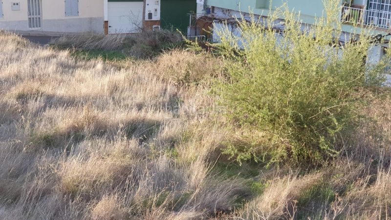 Foto c40fd8d0-857e-47eb-b0e1-25bebcb2b822. Terreny residencial a Vilaflor