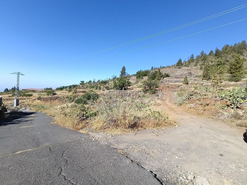 Foto 02699ed9-8900-4aa7-be1f-4ceab89be185. Finca rústica a Vilaflor