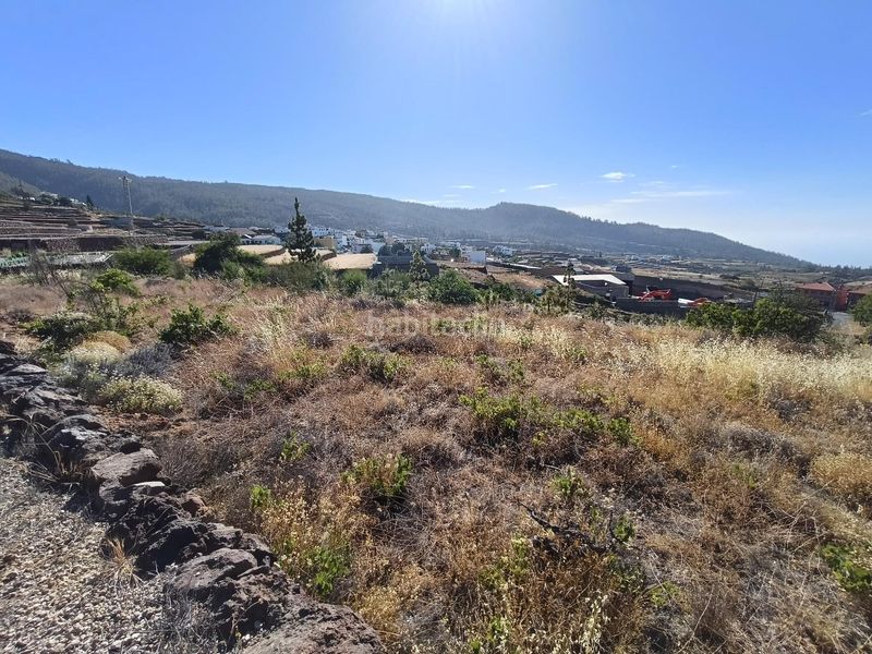 Foto 0374012a-dee4-43f4-9137-bb6cbcca1bd8. Finca rústica a Vilaflor