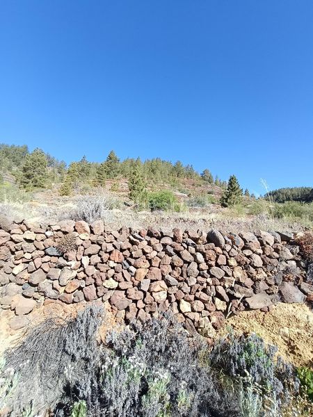 Foto 12aeda79-a491-462e-b903-4ece2890e85d. Finca rústica a Vilaflor