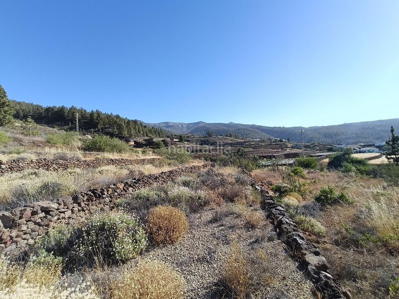 Foto 1657a835-cc0b-4cc4-93af-1b7b4830d404. Finca rústica a Vilaflor